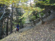 poco sotto le Grange Cravasse