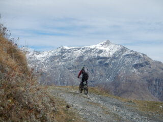 vista sul Rocciamelone