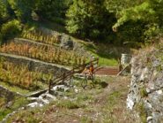 Il bellissimo arrivo sopra Pomaretto