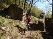 Sul sentiero sopra il colle della Piatta.