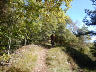 Sentieri ben tenuti.