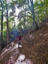 La bella discsa in faggeta verso b.ta Bedale