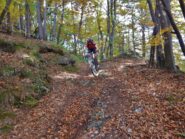 Il tratto tra il colle Poca ed il Tejè