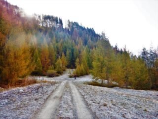Sottozero verso l'alpe Serri.