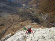 Sulle placche basali