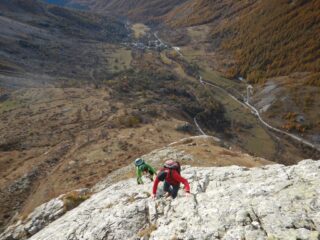 Sulle placche basali