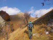 sulle pendici del Monte Sapea