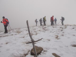 la piatta cima del Prapian 