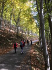 Ameno rientro circondati dai colori dell'autunno.