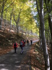 Ameno rientro circondati dai colori dell'autunno.