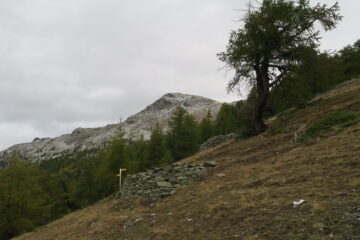 arrivando all'alpe di Viou