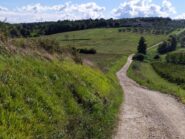 Strade bianche