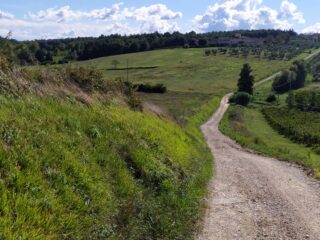 Strade bianche