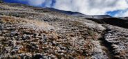la prima neve incontrata a quota 2550 m