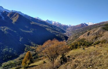 in discesa da Rocca del Colle