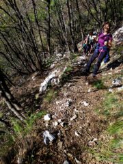Salita nel bosco