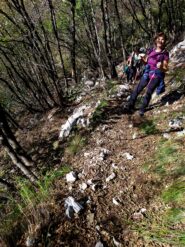 Salita nel bosco