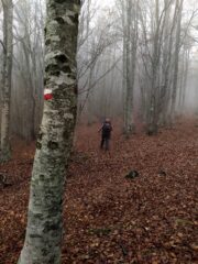 Segnaletica, verso il rif Montanaro