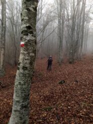 Segnaletica, verso il rif Montanaro