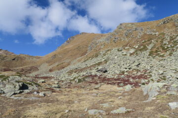 in alto i ripidi prati discesi ma senza difficoltà perchè senza neve