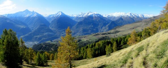 splendido panorama