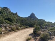 Si vede la vetta ma c'è ancora qualche tornante