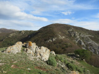 Monte Ravinet dall'abbazia 