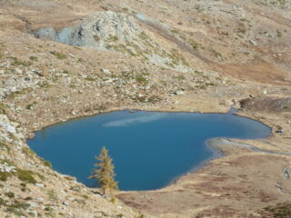 lago Raty e larice dorato