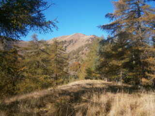 monte Buch da punta Cialier