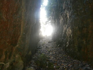 uscita primo budello