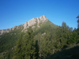 la rocca vista da sotto