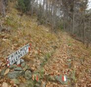 Sentiero per Calcante