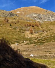 Versante sud
