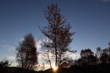 Si preannuncia una giornata radiosa