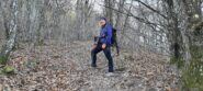 salendo l'ampia fascia boscosa verso la cima dell'Alpesisa