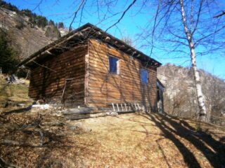 casa forestale