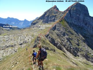 Si continua la cavalcata scendendo al P.so del Tonale.
