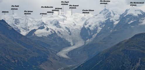 Grande il panorama dalla Chamanna Paradis sul gruppo del Piz Bernina.