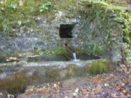 tantissima, freschissima, buonissima
