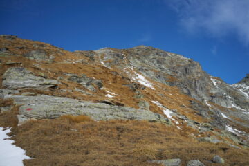 In avvicinamento a Becca Torché