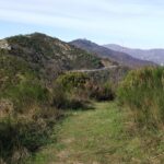 Uno sguardo alle spalle salendo al Bric dei Corvi Sud