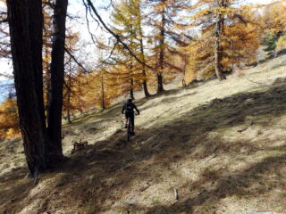 colori autunnali