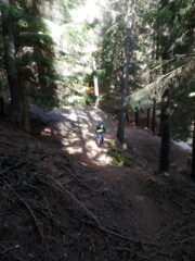 sentiero delle Ginestre 2