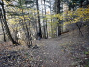 nella parte bassa il percorso diventa più facile