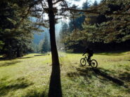 fine discesa al parco avventura