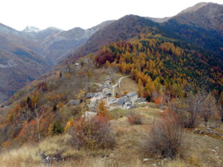 borgata Colletto