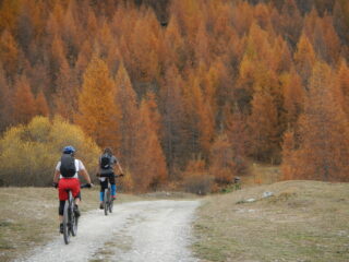colori...