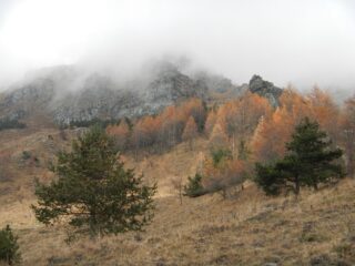 quota 1812 m. 