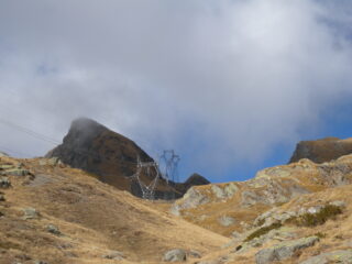 SuperP. anche fotogenico