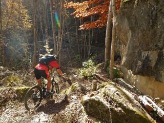 Sempre sul Remo Einaudi